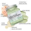 16 fl oz Apple Cider & Sea Salt Green Scalp Scrub Sulfate-Free | 10% AHA & BHA | Exfoliating Hair & Scalp Treatment for Detox, Dandruff & Build-Up | Scalp Exfoliator Hair Scalp Scrub | Refreshing