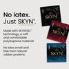 SKYN Selection Non-Latex Lubricated Condom Variety Pack, 10 Count (2076404)