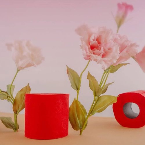 Red Toilet Paper 3 ply 6 Rolls pack 140 Premium Quality sheets