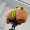 unsnurnoch Strawberry Capybara Stuffed Animals, Soft Kawaii Rodents Capybara Plush, Capybara Plush Toys with Turtle Backpack, The Best Birthday Gift for Kid