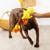 Fringe Studio Plush Dog Toy, Sweet Little Chick, Pet Shop Collection (314137)