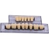 RZJZGZ Dental Synthetic Resin Tooth Denture False Teeth for Halloween Horror Teeth 23 A3(56 Pcs/2Set)