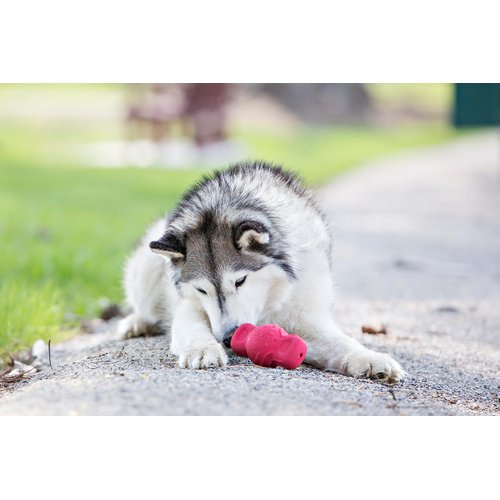 Jolly Pets Tuff Range Tuff Teeter Bouncing Treat Dispenser Dog Toy, 5 Inches, Red