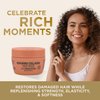 RICH Pure Luxury Repairing Collagen Hair Mask for Dry & Damaged Hair - Deep Conditioning & Moisturizing Hair Repair Treatment - Hair Proteins, Collagen, Marula Oil & Macadamia Nut Oil - 8.45oz