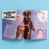 Incredible But True: The Human Body - Kids Hardcover Book, Learn About Biology, STEM for Kids Aged 7-12, Color Illustrated Non-Fiction Books, Learning & Education