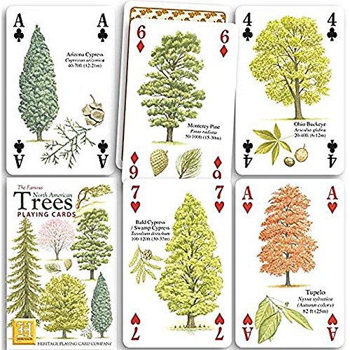 North American Trees Playing Cards