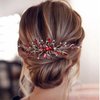 Bridal Wedding Hair Comb Wine Red Crystal Sliver Hair Vine Piece Accessories for Women Girls Party Banquet (Wine Red)