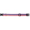 Up Country Stars and Stripes Dog Collar, Medium (12 to 18 inches) 1 inch Wide Width