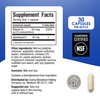 Prevagen Improves Memory - Professional Formula 40mg, 30 Capsules |2 Pack| with Apoaequorin & Vitamin D & Prevagen 7-Day Pill Minder | Brain Supplement for Better Brain Health