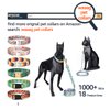 waaag Gold Moons and Stars Safety Breakaway Cat Collar, Glow in The Dark (Standard 9"-15" Neck, Black)