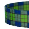Country Brook Petz - 1/2 Inch Blue and Green Plaid Dog Leash - 4 Feet