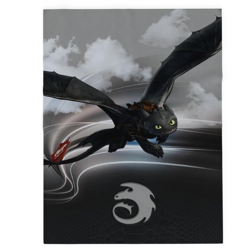 FRANCO How to Train Your Dragon Toothless Kids Bedding Super Soft Plush ...