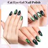 AIMEILI Cat Eye Gel Nail Polish Soak Off U V LED Hema Free Cruelty Free Vegan Gel Polish Colors for Nail Art DIY Gel Nail Manicure 756
