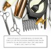 DreamCut 6" Professional Hair Scissors and Thinning Shears 440C Japanese Stainless Steel Kit