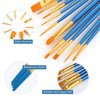 Acrylic Paint Brush Set, (20 Packs /200 pcs) Nylon Hair Brushes for Oil and Watercolor, Perfect Suit of Art Painting, Best Gift for Painting, Blue