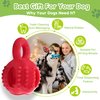 SPOFLY Dog Chew Toys, Set of 3 Treat Dispensing Dog Toys，Interactive Dog Toys for Boredom, Fun-Filled Treat Dispenser for Yak Cheese Dog Chews