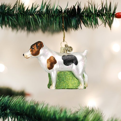 Old World Christmas Ornaments: Dog Collection Glass Blown Ornaments for Christmas Tree, Jack Russell