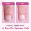 Pics Nails Professional Cuticle Oil - Vanilla Cuticle Softener for Nails & Cuticle Care - Nail Oil Cuticle Repair Treatment with Sunflower Seed Oil 12ML Cuticle Oil Bottle with Brush Applicator
