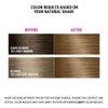 Better Natured Permanent 8N Natural Blonde Hair Color Dye - Naturally-derived, Vegan & 100% Gray Coverage that Lasts up to 8 Weeks