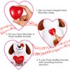 Civaner 2 Pack Voice Recorder for Stuffed Animal 20 Second Red Heart Voice Recorder Christmas Sound Recording Device Recordable for Plush Bears Toy