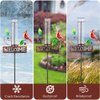 Stargarden Rain Gauge Outdoor, Metal Cardinal Rain Gauge, Rain Gauges with 7inch Plastic Tube, Decorative Rain Gauge for Yard, Garden, Lawn, Pathway