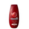 Schauma Repair Damaged Dry Hair Shampoo For Women 250ml Color Shine