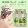 Natural Plant Hair Dye,Bubble Plant Hair Dye,20ml 10Packs/Box,Plant Hair Dye Shampoo for Dark Hair Dye for Women Men (Chestnut Brown)