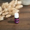 Young Living Gratitude Premium Essential Oil Blend - Aromatherapy for Thankfulness and Positivity - Uplifting Grand Fir and Frankincense Aroma - 5 ml Bottle