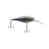 Berkley Flicker Shad Fishing Lure, Black Silver, 5/16 oz, 2 3/4in | 7cm Crankbaits, Size, Profile and Dive Depth Imitates Real Shad, Equipped with Fusion19 Hook