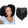 Afro Kinky Curly Clip in Human Remy Hair Extensions Brazilian Curly Clips Hair Extensions 4B 4C 8A Virgin Thick Natural Black Color Clip on For Black Women 10-22 inch (14 inch, AC #1B)