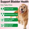 Dog UTI Treatment - Urinary Tract Infection Treatments, Kidney+Bladder Support Supplement, Natural Cranberry Extract for Dogs, Supports Urinary and Digestive Health (2 Fl Oz (Pack of 2))