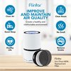 Flintar H13 True HEPA Replacement Filter, Compatible with LV-H132 Air Purifier, Part # LV-H132-RF, 2-Pack