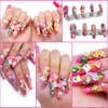 HOCIBES 5000PCS Nail Art Slices ,Cute Design Nail Art Fruits Animals Flowers Heart Nail Art Slices, 3D Polymer Clay Slices for Nail Art ,Slime Making Kit Decoration and Diy Craft . (Animal)
