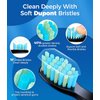 TEETHEORY Electric Toothbrush for Adults with 8 𝐁𝐫𝐮𝐬𝐡 𝐇𝐞𝐚𝐝𝐬, Sonic Electric Toothbrush with 40000 VPM Deep Clean 5 Modes, Rechargeable Toothbrushes Fast Charge 4 Hours Last 30 Days