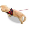 Copatchy Dog Harness Small Sized Dog - All Weather Mesh overhead adjustable no pull Vest Puppy reflective Harness with handle for Small and Medium Dogs by Copatchy - Harness (Red) Small