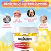 NATISLAND Liposomal L-Lysine Gummies 1000mg, Lysine Supplement for Adults & Kids, Chewable Lysine with Zinc for Lips & Oral Health, Immune & Collagen Support, Vegan, Sugar Free, Lemon Flavor, 60 Count