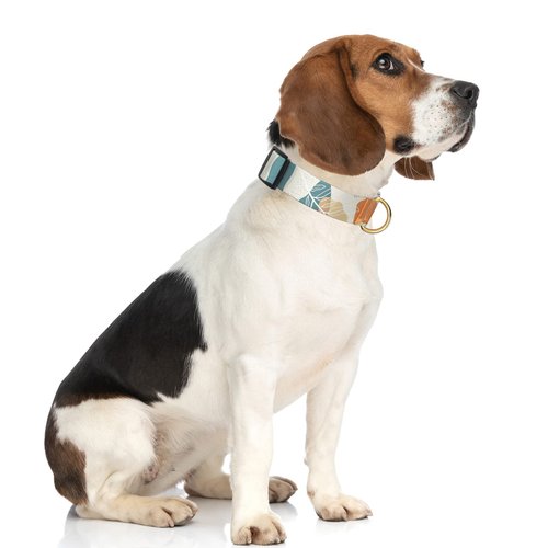 Rnivvi Dog Collar, Personalized Adjustable Dog Collars for Medium Dogs, Cute Boho Puppy Collar for Boy and Girl Dogs, Soft Pet Collar with Quick Release Buckle for Walking Running, Abstract Leaves