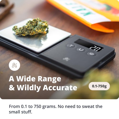 Greater Goods Digital Espresso & Coffee Scale - 750 x 0.1 Gram Precision Pocket Scale to Measure Medicine, Letter and Small Precise Things