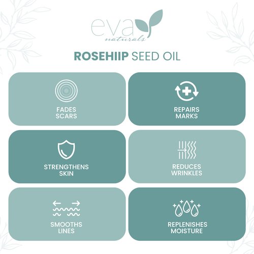 Pure Rosehip Seed Oil (2 Fl Oz)- Rosehip Oil for Face Aids Stretch Mark and Scar Removal - Facial Oil Reduces Inflammation, Collagen for Radiant Skin - Face Oil - Best Rose Hip Oil for Face