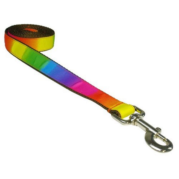 Small Rainbow Dog Leash: 3/4" wide, 4ft length - Made in USA.
