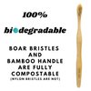 Gaia Guy Natural Bristle Bamboo Toothbrush with Boar Bristles - Totally Biodegradable and Compostable - No Nylon Toothbrushes - Zero Waste 12-Pack
