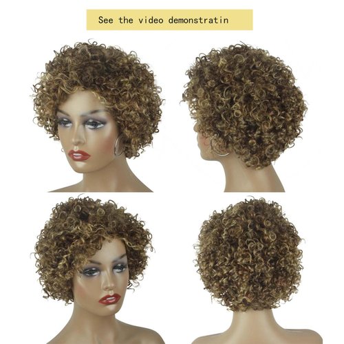 Brazilian Wigs 10 inch Short Kinky Curly Human Hair Wigs For Black Women Short Wigs No Lace Front (Gradient Brown4/27/30)