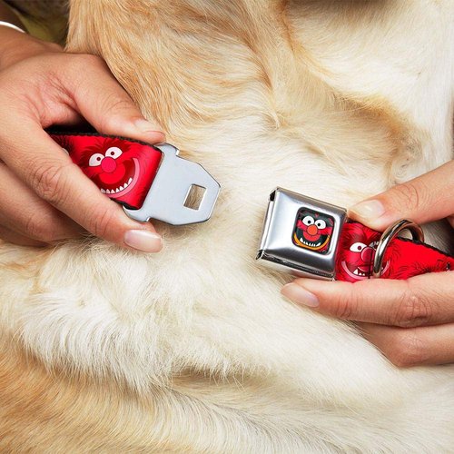 Buckle-Down Seatbelt Buckle Dog Collar - Animal Expressions Scattered Reds - 1.5" Wide - Fits 13-18" Neck - Small