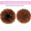 MISSSPECIAL Afro Puff Drawstring Ponytail Extension for Black Women 9A Synthetic Afro Puff Ponytail for Natural Hair, Clip On Kinky Drawstring Ponytail Hair Bun (30#, Afro Puff Medium Size)