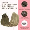 GOO GOO Clip in Hair Extensions Real Human Hair, 16inch 120g 7Pcs, 3/8/613 Balayage Walnut Brown to Ash Brown and Bleach Blonde, Remy Human Hair Extensions Clip ins for Women, Natural Human Hair