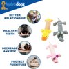 Hydrodogz 5 Pack Squeaky Plush Puppy Dog Chew Toy Assortment Animal Bundle Elephant, Pig, Duck, Cute Interactive Teething Toys for All Breeds and Sizes