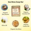 Sea Moss Soap Bar| Handmade| For All Skin Types Acne, Eczema, Psoriasis | Shea Butter, All Natural, Body and Face, Dr. Sebi Inspired, Vegan, Gluten Free, Men & Women, Moisturizing, Essential Oils