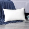Artscope Premium Throw Pillow Insert Square Form Cushion Stuffer for Couch, Sofa, Bed - Indoor Decorative Pillows Inserts 12x20 Inch