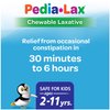 Pedia-Lax Laxative Chewable Tablets for Kids, Ages 2-11, Watermelon Flavor, 30 CT, 24 Pack