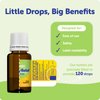Ddrops Baby Tummy Relief Liquid Drops, Organic Gripe Water for Newborns, Relief from Gas, Colic, Fussiness and Hiccups, Just One Drop, Herbal Ingredients, 120 Drops